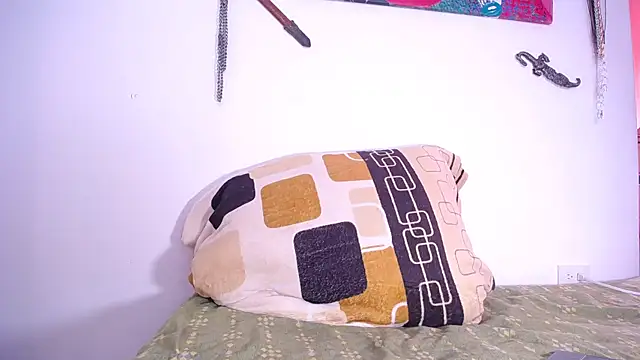 damn_fox webcam