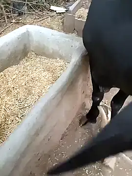 Rs_sonam live cam
