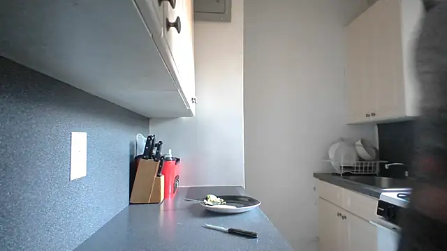 StevenRiseNYC webcam