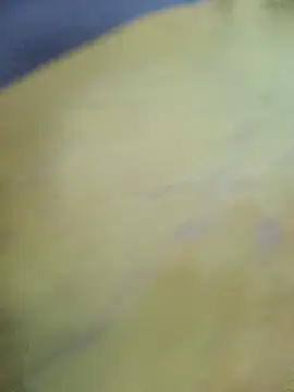 Kajal-Mehra webcam