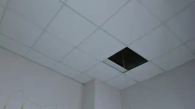 EricaElliott webcam