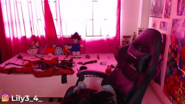 lily3_4 webcam