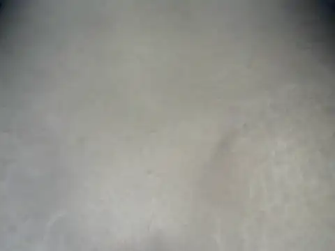 Spicequeen23 webcam