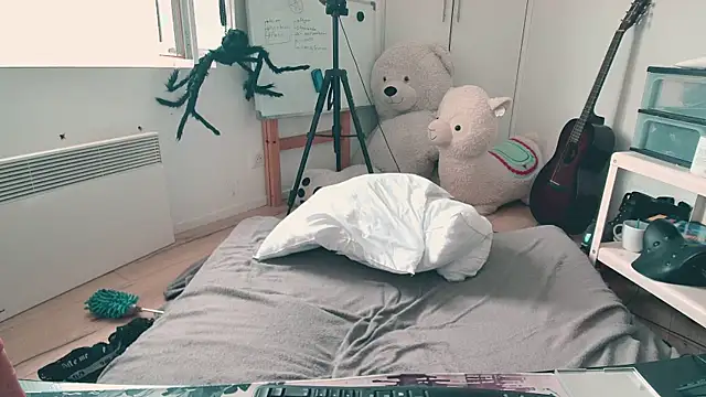 CeriseLapine webcam