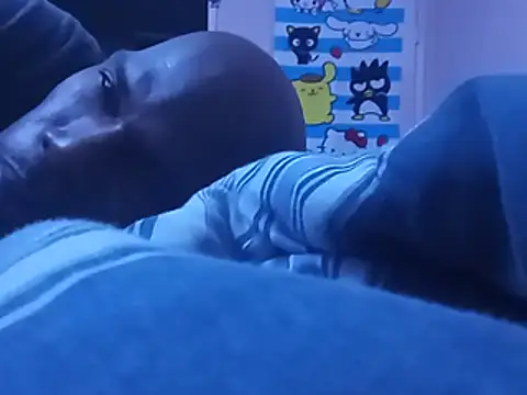 Blkstylion webcam