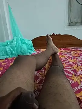 bikashadh webcam