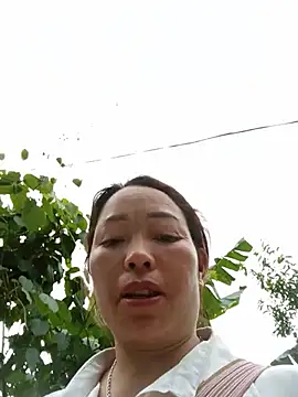 Yellow-pink webcam
