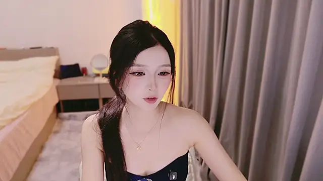 Apple-228 webcam