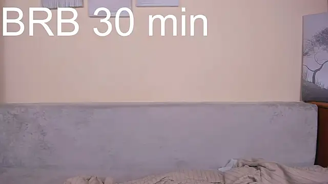 DreamSlick webcam