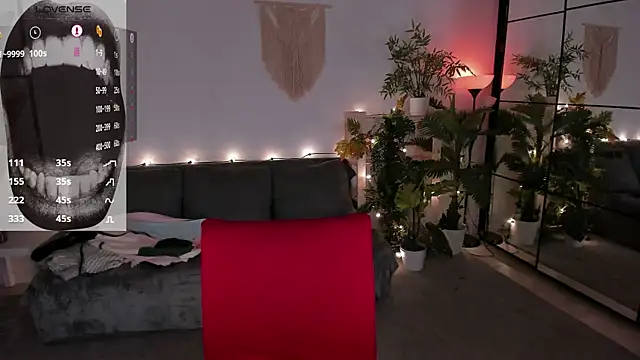 evathority webcam