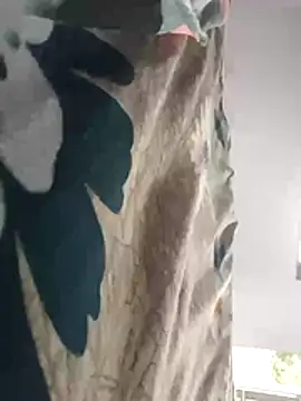PracticalGum40 live cam