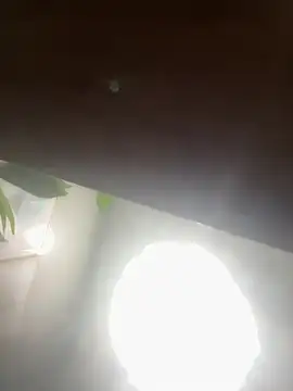 kngkeeem live cam