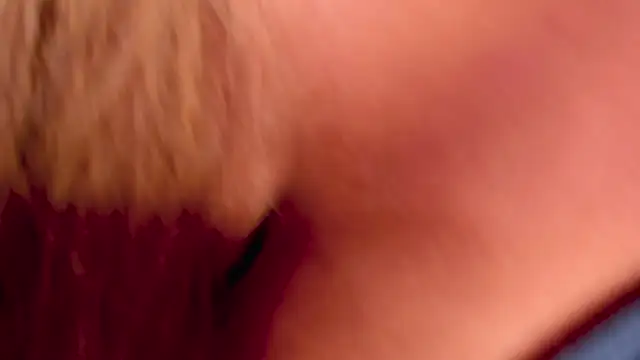 Mistyca webcam