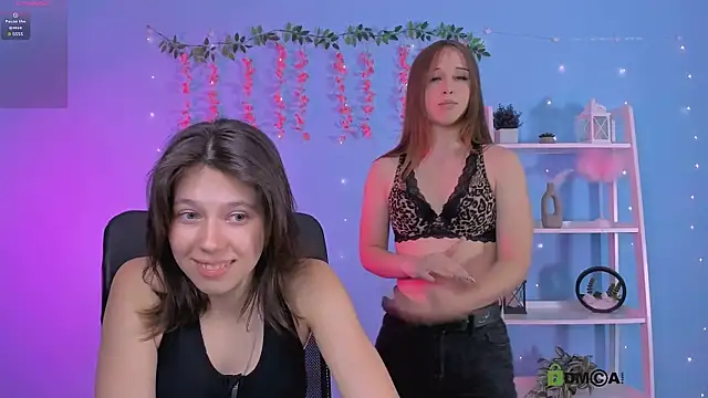 aria_wild_ webcam