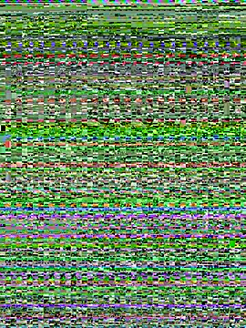 orangeoneday webcam