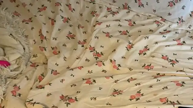 PerfectHeartShapes webcam