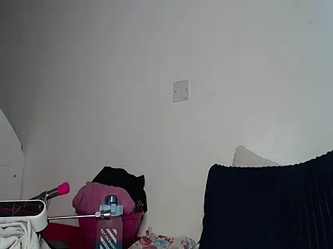 Whimsicalwillow webcam