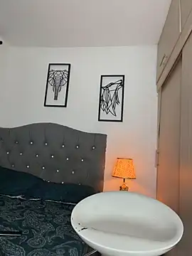 Maximiliano_ford webcam