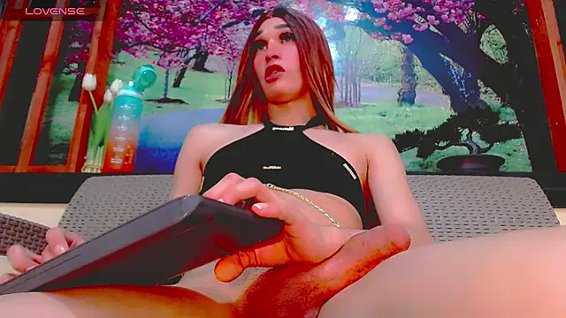 britanny_noroeste webcam