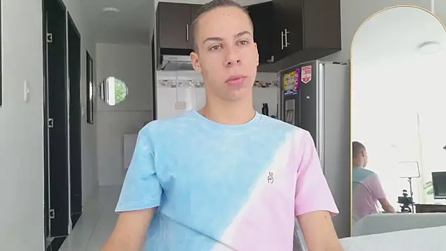 grey___27 webcam