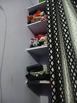 Hansikatelugu webcam
