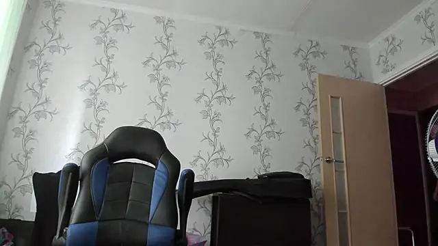 SanFrantsisko webcam