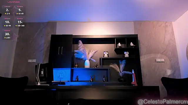 CelestePalmer_ webcam
