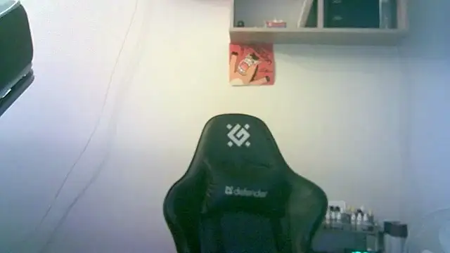 SirAbuser webcam