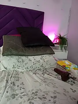 haileystone webcam