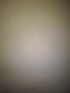 Doudoulecoquin webcam