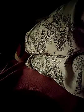-Tara-a webcam