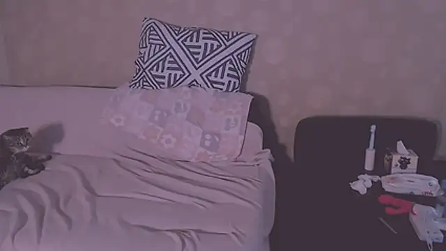 SoftLia webcam