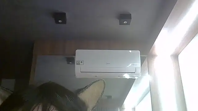 SkinnyKitten webcam