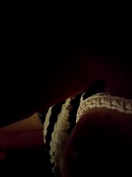 -Tara-a live cam on StripChat