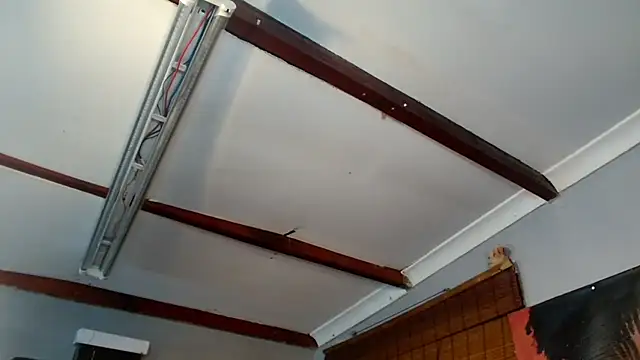 DidyBerry live cam on StripChat