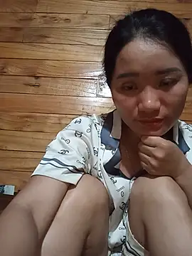 Td3di webcam