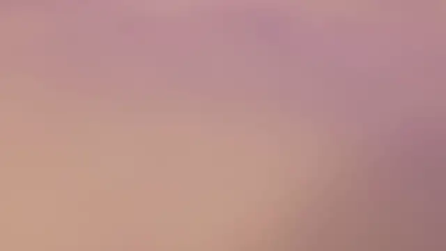 Nioki_ webcam