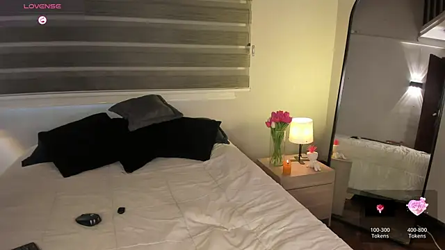 MERIDA_TAYLOR webcam
