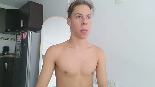 grey___27 webcam
