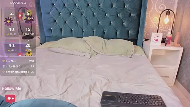 Anthaarr webcam