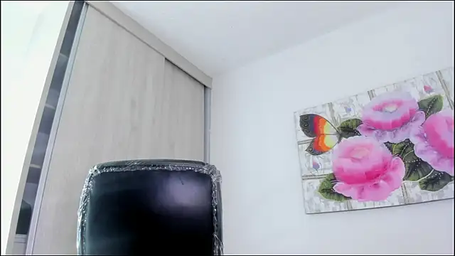 barbie_ds webcam