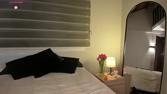 MERIDA_TAYLOR webcam