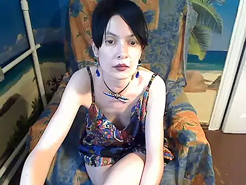 Bastet12 webcam