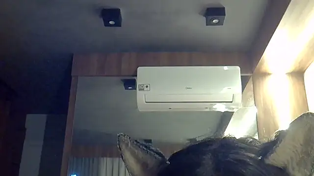 SkinnyKitten live cam