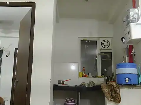 payaljaan800 webcam