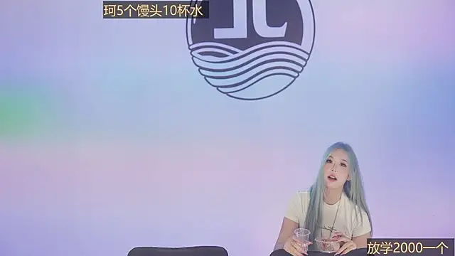 Sw-001 webcam