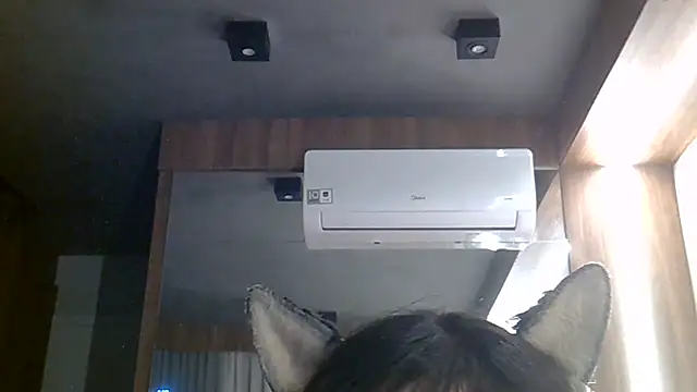 SkinnyKitten webcam