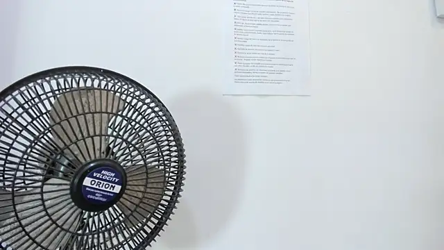 valentinasu webcam