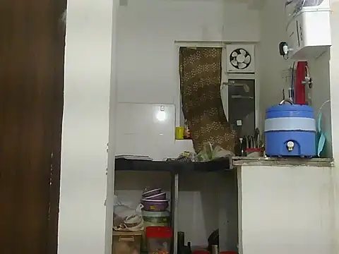 payaljaan800 webcam