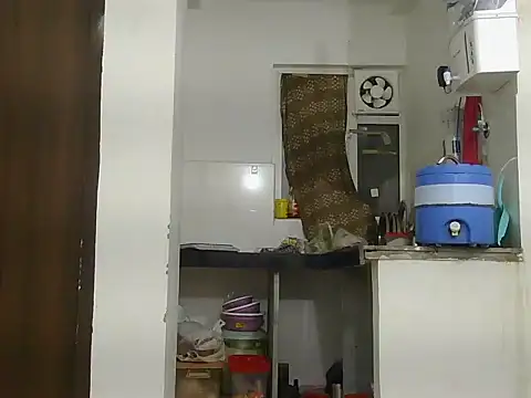 payaljaan800 webcam